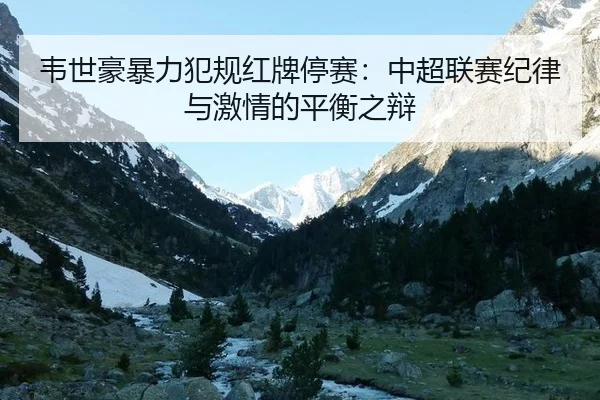 wei-shi-hao-bao-li-fan-gui-hong-pai-ting-sai-zhong-chao-lian-sai-ji-lv-yu-ji-qing-de-ping-heng-zhi-bian-2-310.jpg