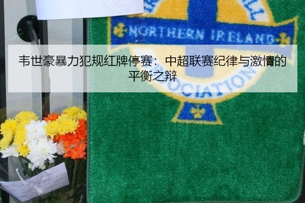 韦世豪暴力犯规红牌停赛：中超联赛纪律与激情的平衡之辩