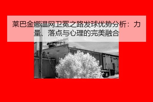 lai-ba-jin-na-wen-wang-wei-mian-zhi-lu-fa-qiu-you-shi-fen-xi-li-liang-luo-dian-yu-xin-li-de-wan-mei-rong-he-2-176.jpg