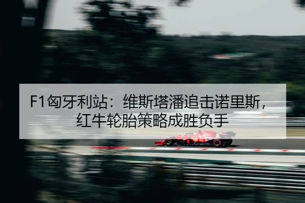 xiong-ya-li-zhan-wei-si-ta-pan-zhui-ji-nuo-li-si-hong-niu-lun-tai-ce-lve-cheng-sheng-fu-shou-2-831.jpg