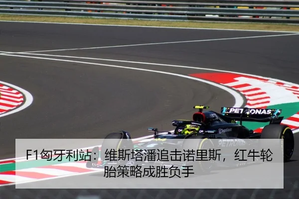F1匈牙利站：维斯塔潘追击诺里斯，红牛轮胎策略成胜负手