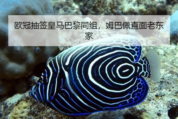 欧冠抽签皇马巴黎同组，姆巴佩直面老东家