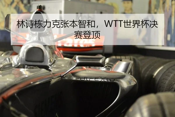 林诗栋力克张本智和，WTT世界杯决赛登顶
