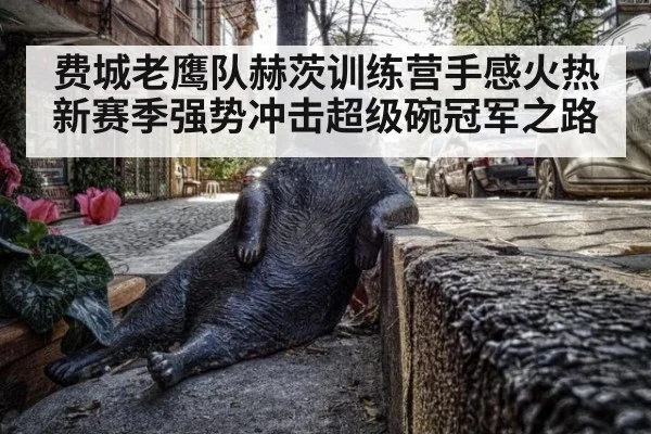 费城老鹰队赫茨训练营手感火热新赛季强势冲击超级碗冠军之路